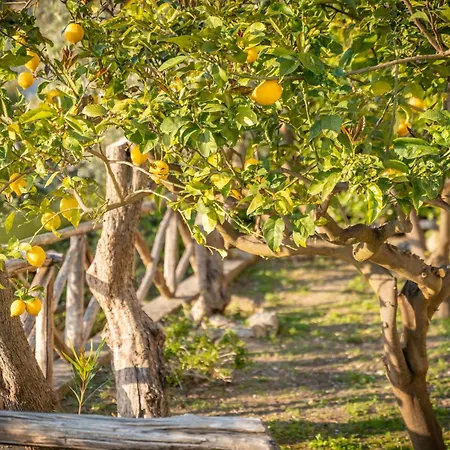 Dafne Gulf Views Pool And Guest Services By Feeling Italy * Масса-Лубренсе